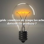 Réponse rapide : combien de temps les arbres fruitiers doivent-ils produire ?